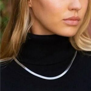 Jennifer Zeuner Jewelry Silver IP Aline Necklace